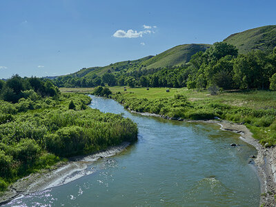River Level Monitoring